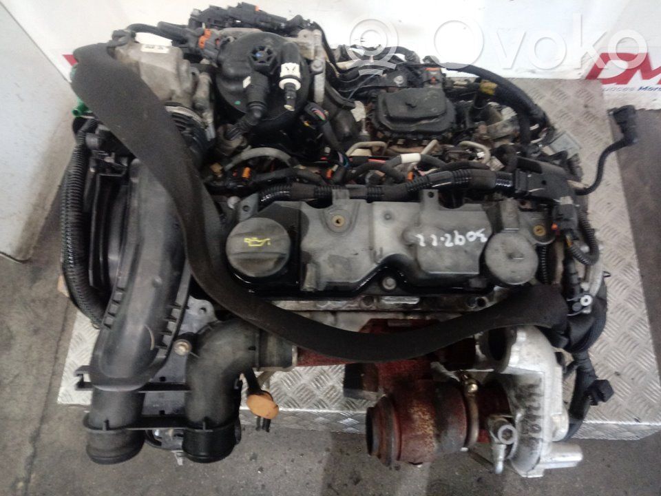Motor   BH02