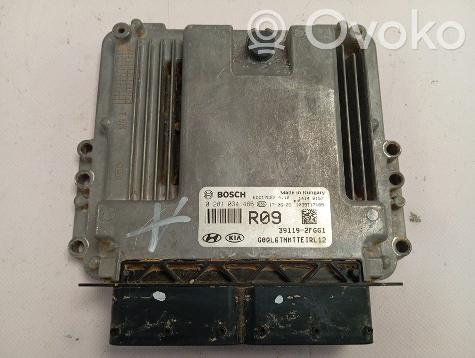 Engine control unit/module   391192FGG1