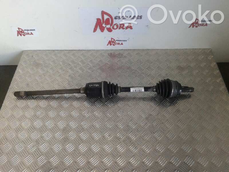 Priekšējā pusass   7524046