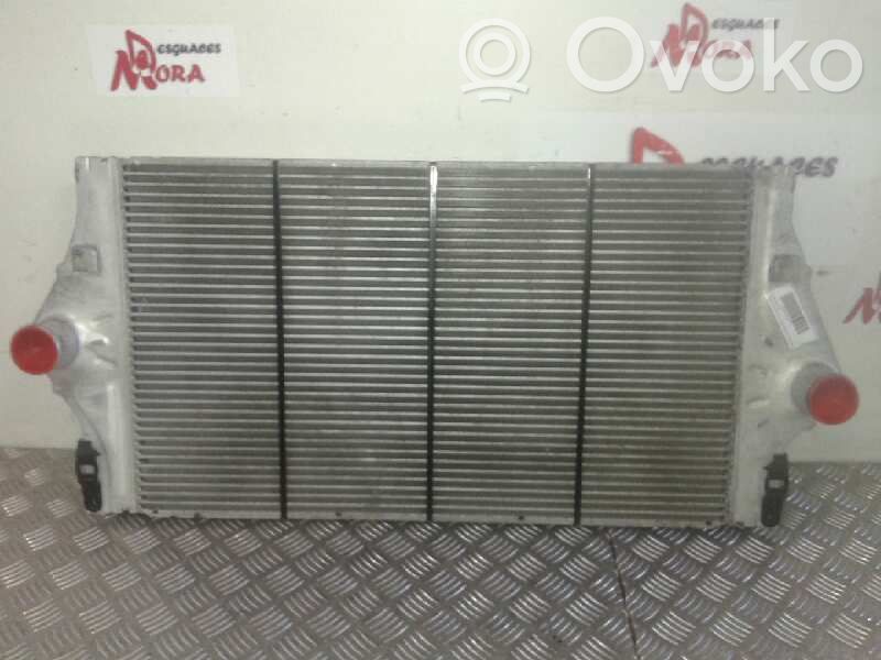 Intercooler radiator   8200075810C