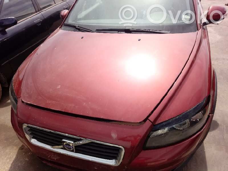 Engine bonnet/hood