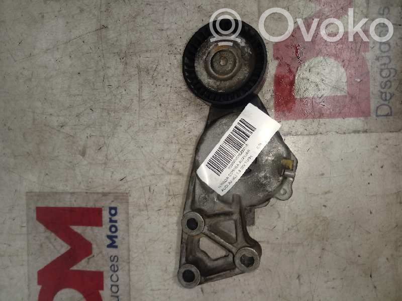 Audi A3 S3 8L Întinzător curea generator/alternator 