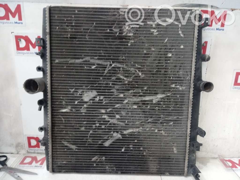Citroen C8 Coolant radiator 