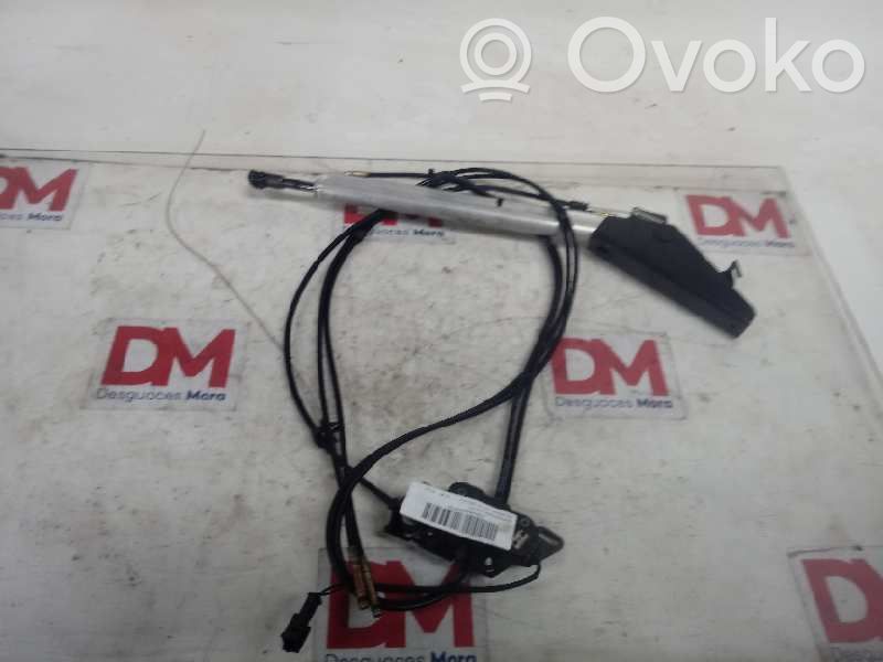 Peugeot 307 Tie down hook / loop 