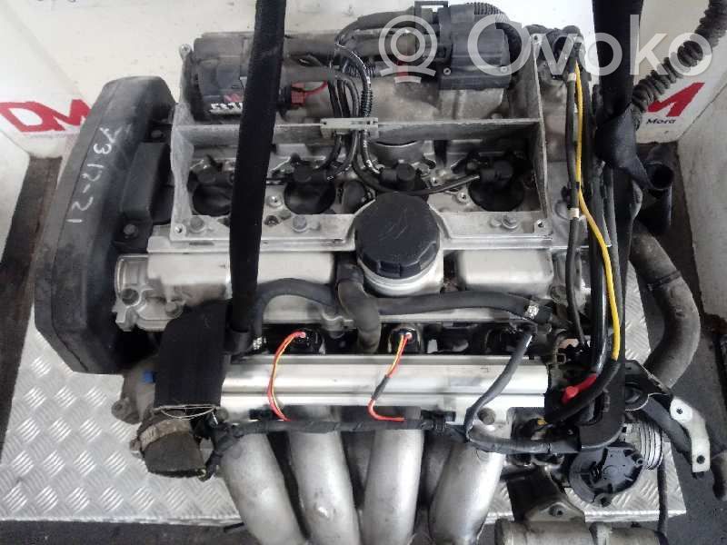 Variklis   B4164S