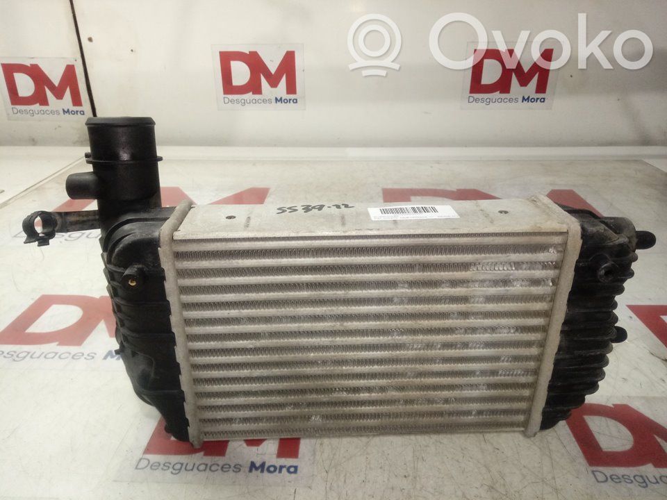 Radiador intercooler