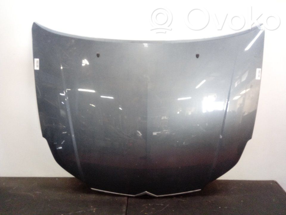 Engine bonnet/hood