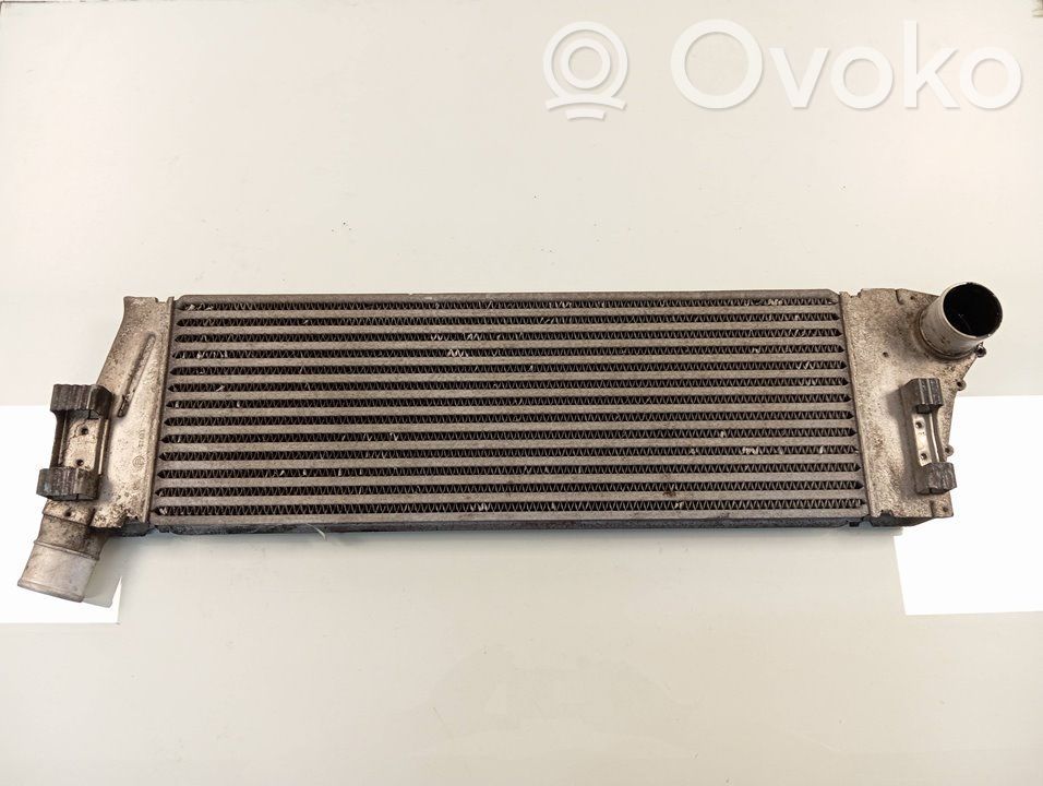 Radiatore intercooler   8200115540