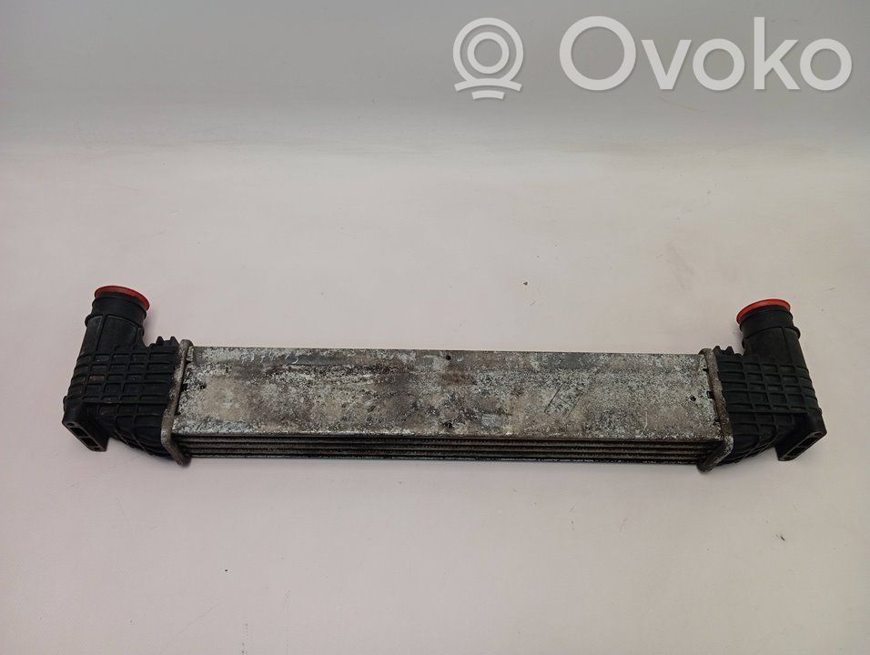 Radiatore intercooler   REFBORRADA