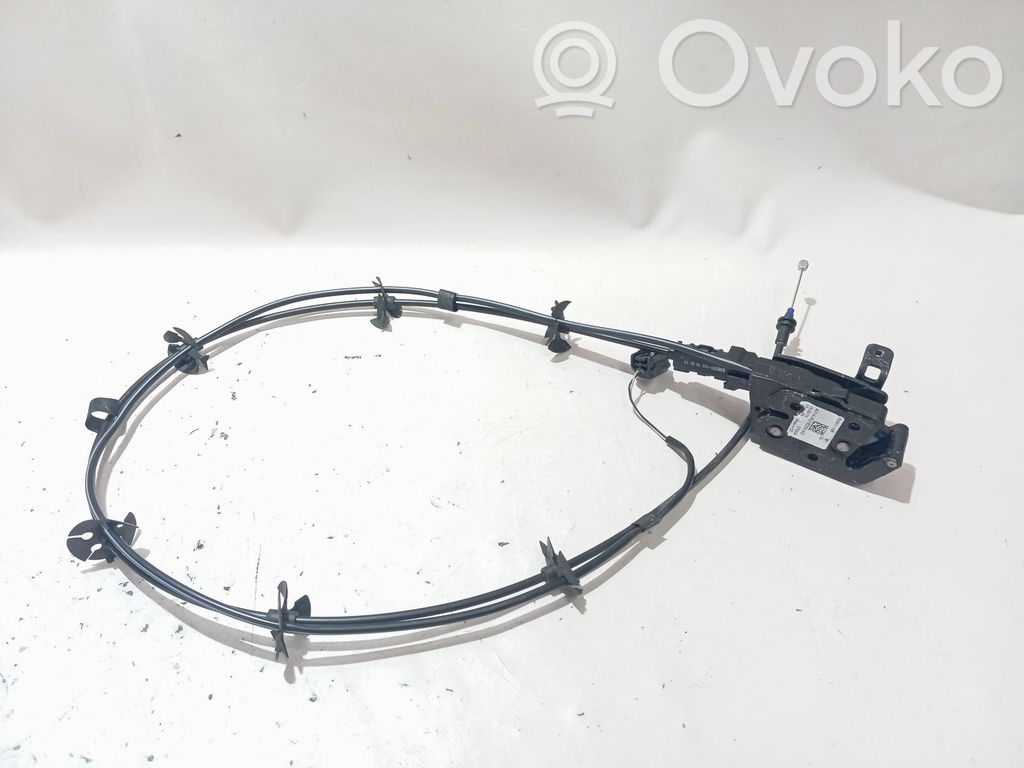 Tie down hook / loop   1807331
