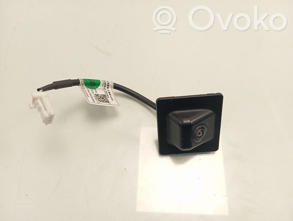 Camara trasera coche   10669641