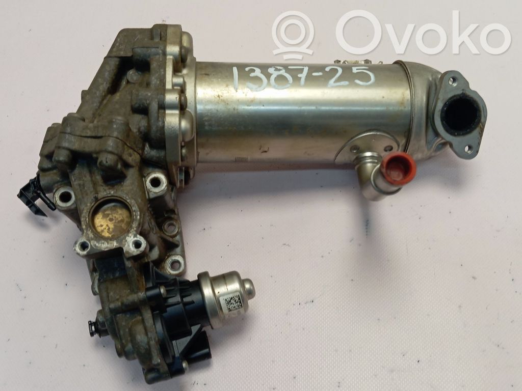 Ford Transit -  Tourneo Connect EGR valve cooler 