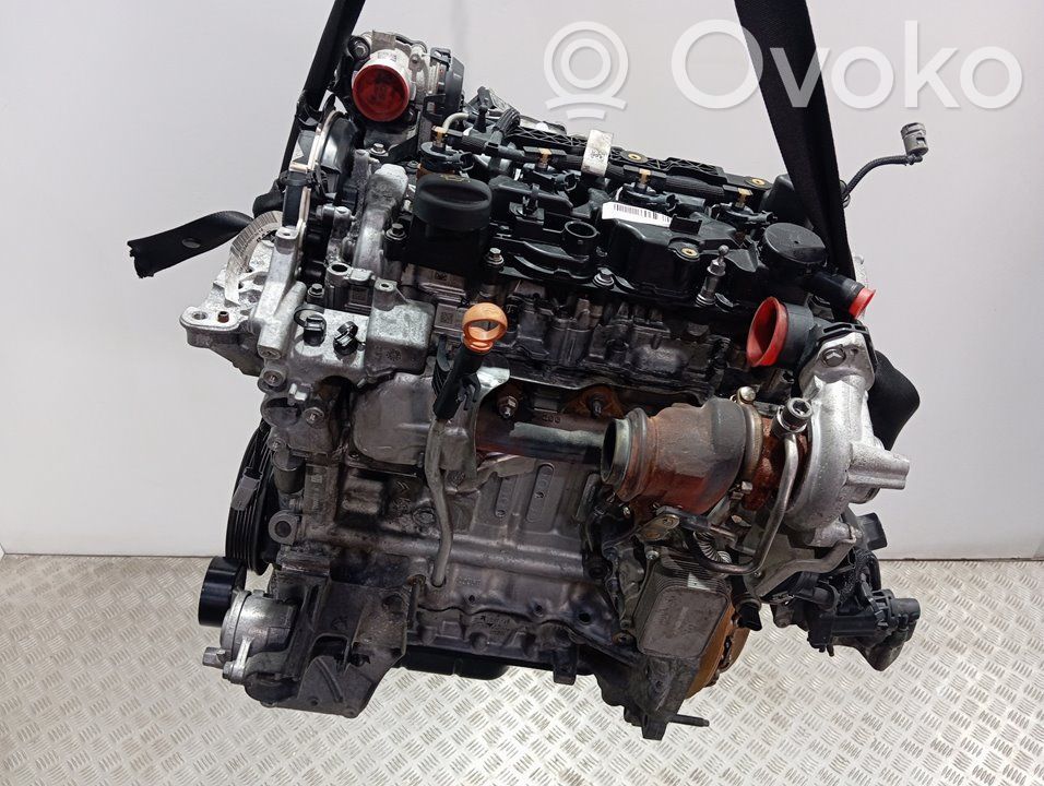 Citroen Berlingo Двигатель 