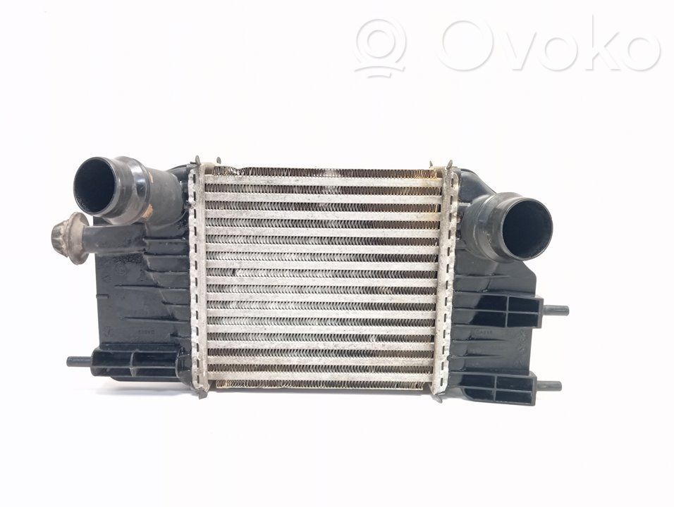 Nissan Note (E12) Intercooler radiator 