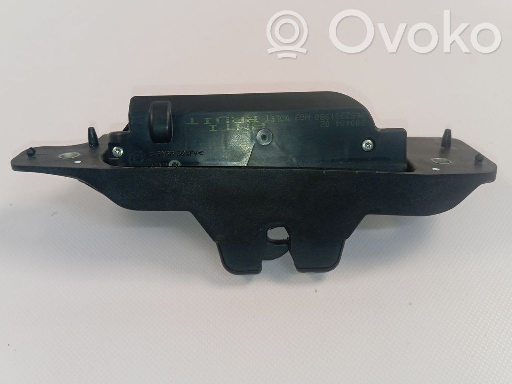 Citroen C2 Spyna galinio borto 