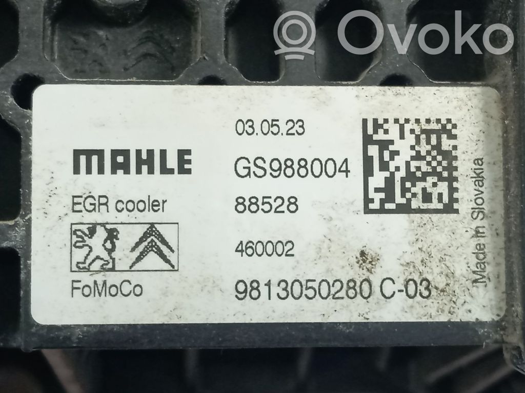 Opel Vivaro Răcitor supapă EGR 