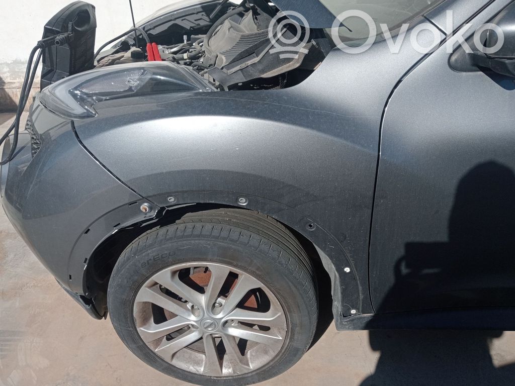 Nissan Juke I F15 Guardabarro