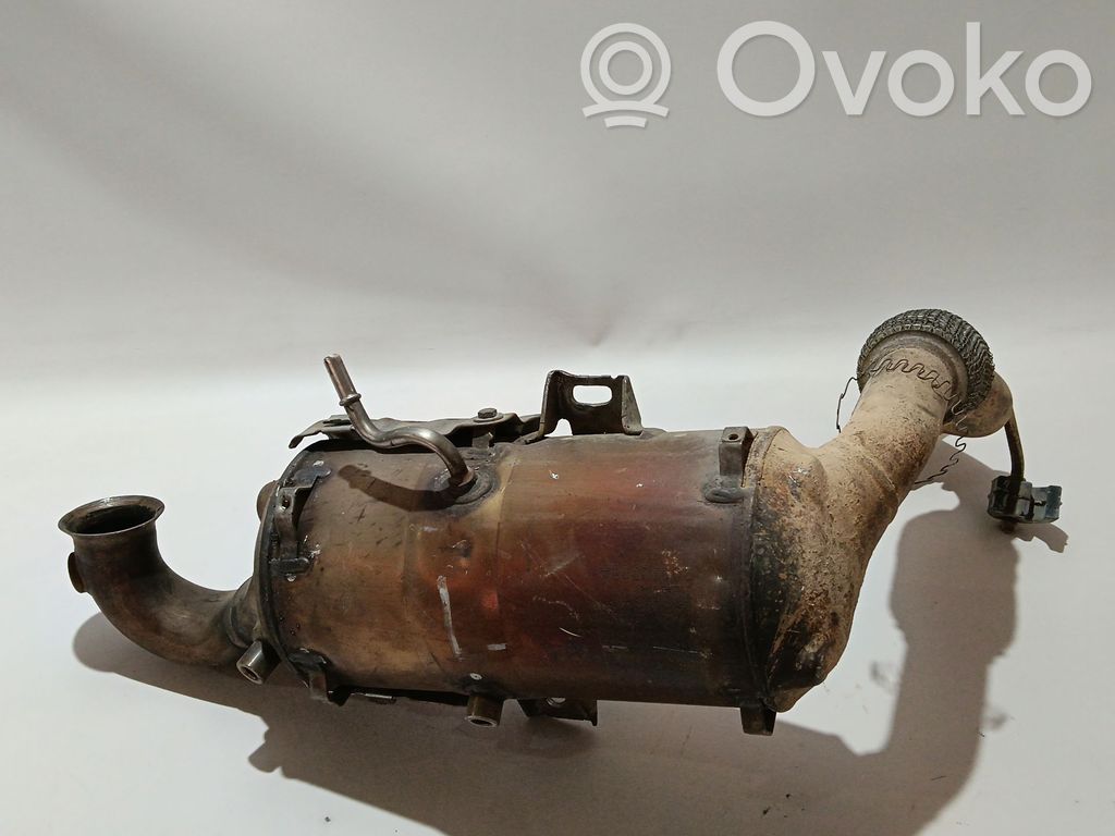 Filtr cząstek stałych Katalizator / FAP / DPF   2111843,F1B15H270AC