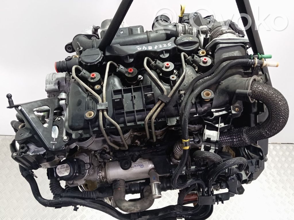 Ford Focus Motor 