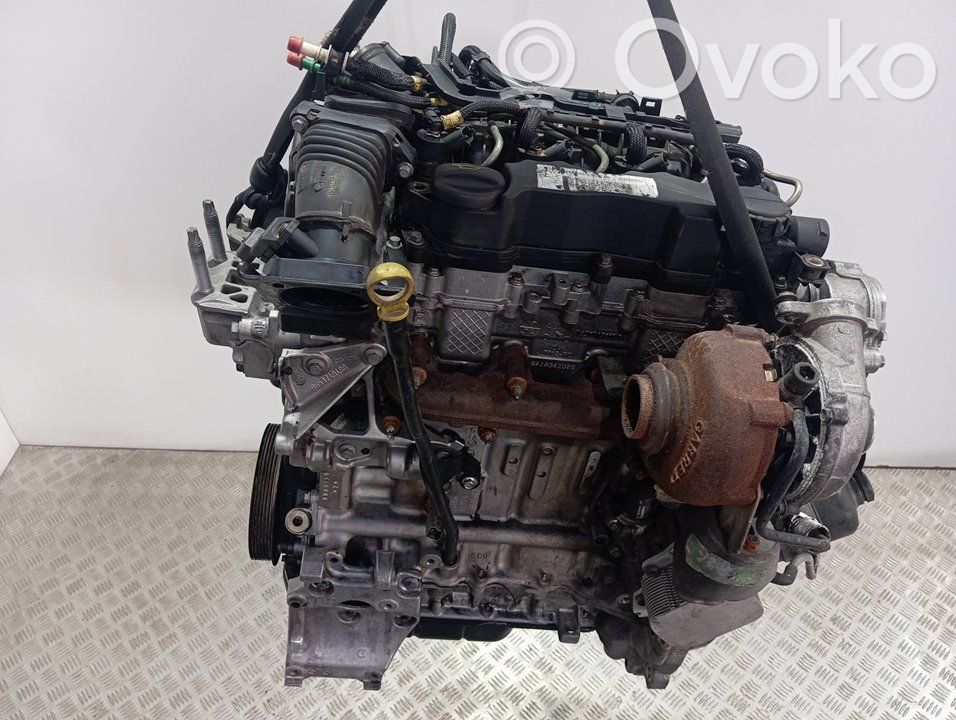 Ford Focus Motor 