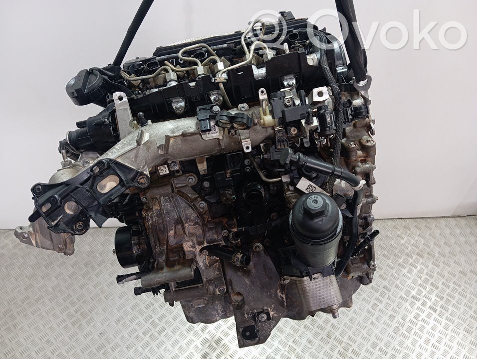 BMW M5 Motore 