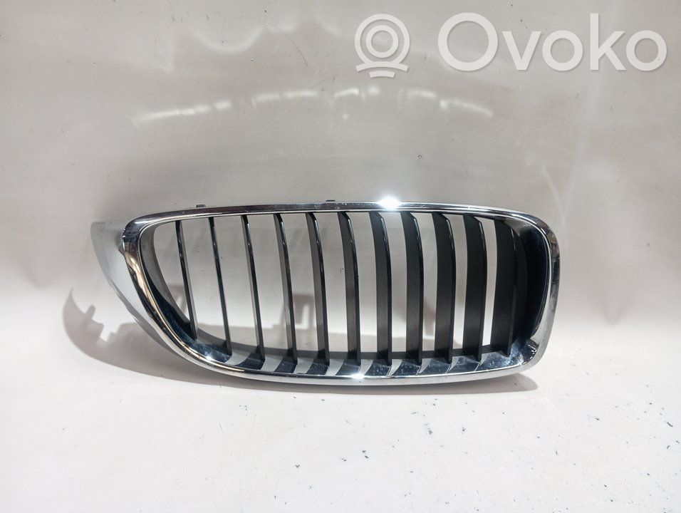 BMW M5 Grilă față 