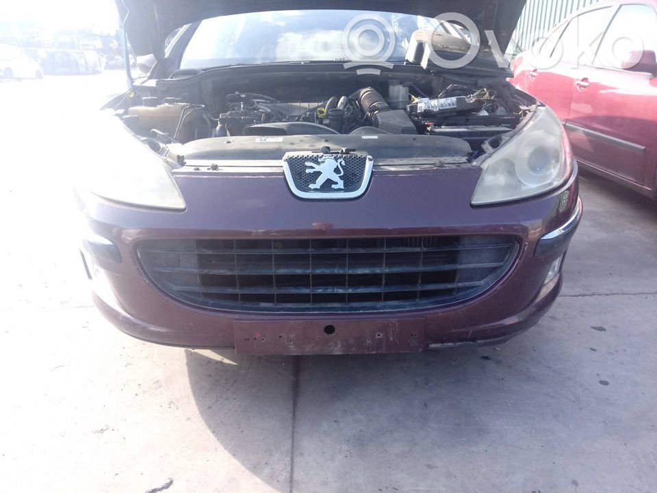 Peugeot 407 Etupuskuri 