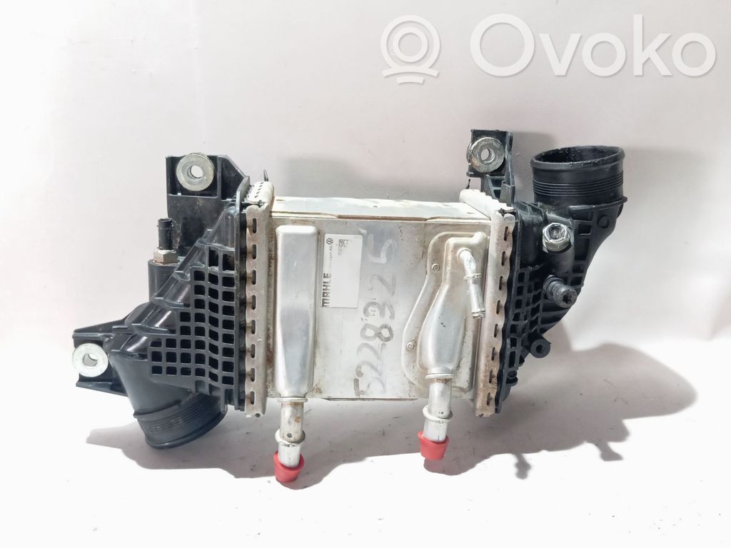 Volkswagen Transporter - Caravelle T6 Radiatore intercooler
