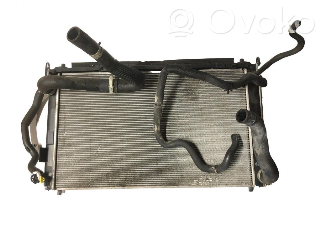 Lexus NX Radiator set 