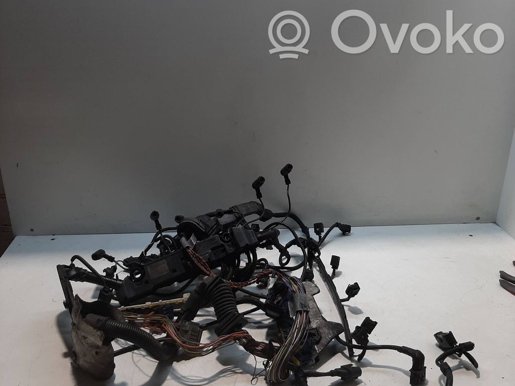 Engine installation wiring loom   7796109,7501725