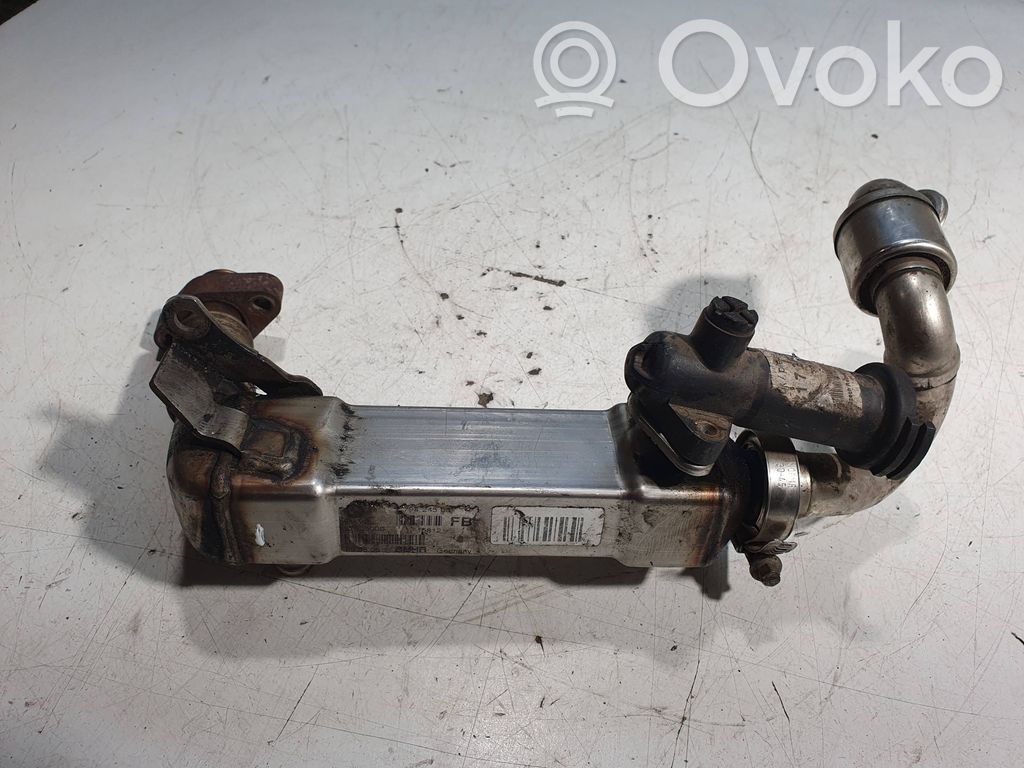 BMW 3 E90 E91 EGR aušintuvas 