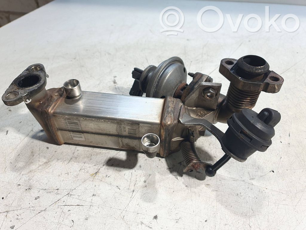 EGR aušintuvas   7797371,V9950006,00500062