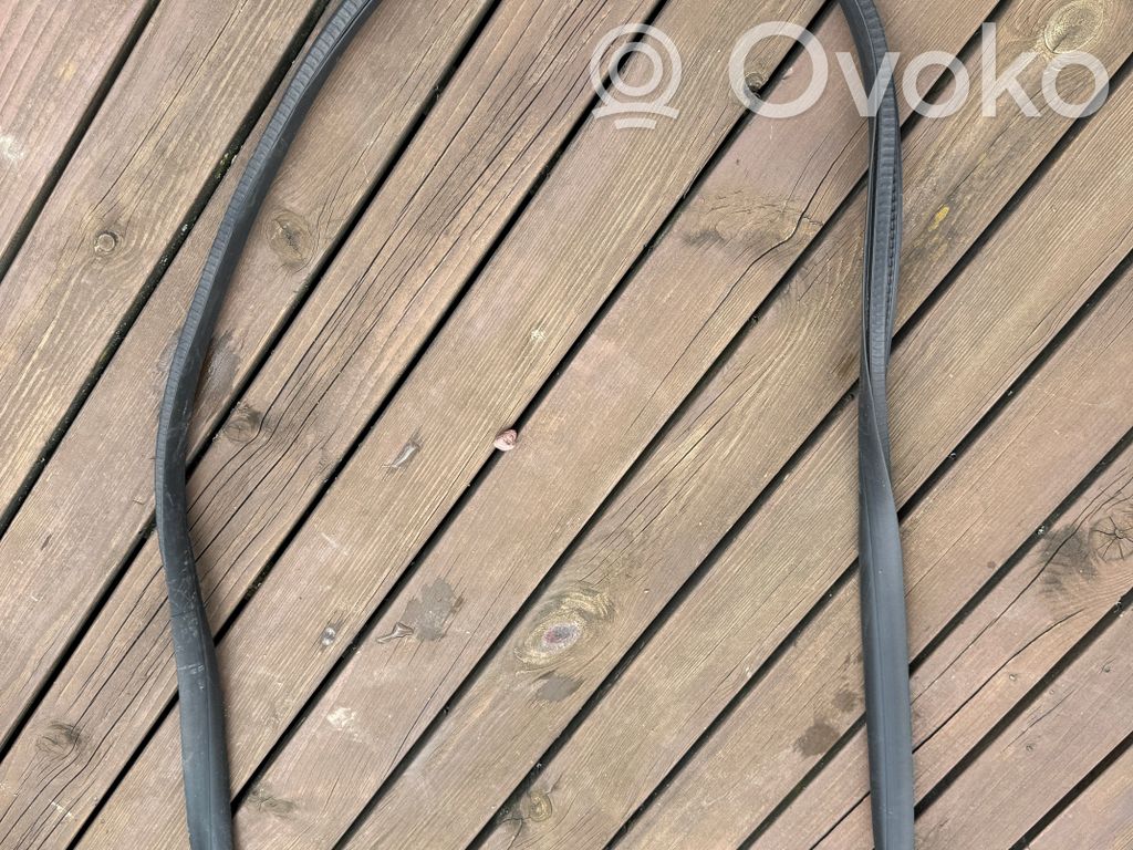 Renault Austral Front door rubber seal 