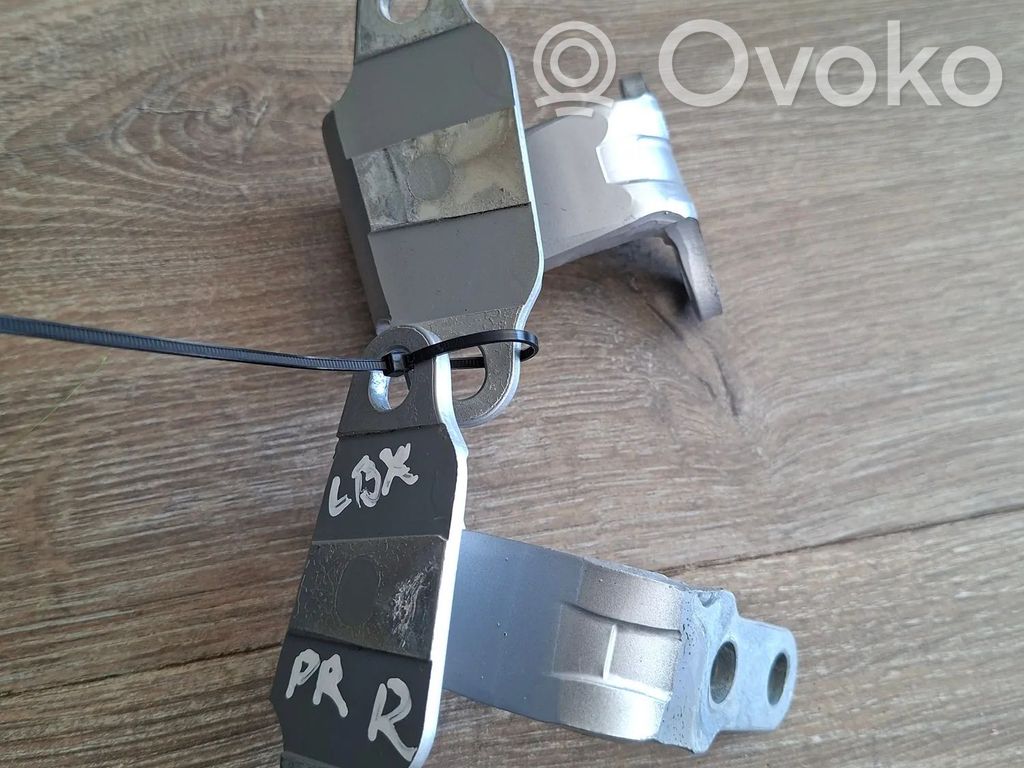 Lexus LBX Front door hinges set 