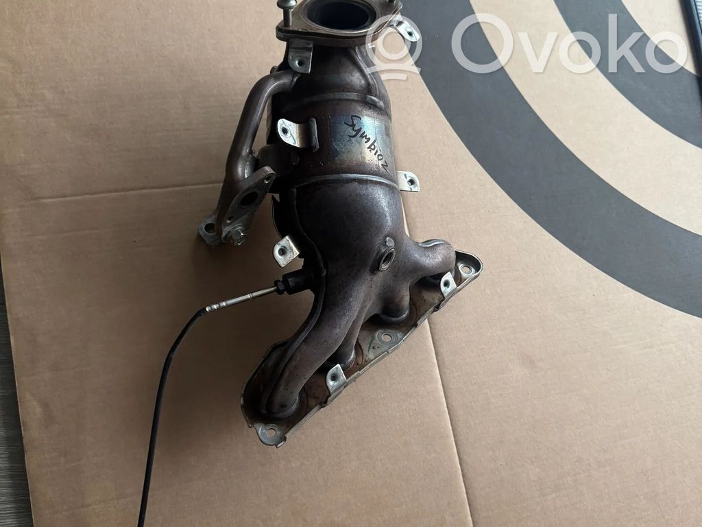 Renault Symbioz Filtr cząstek stałych Katalizator / FAP / DPF 