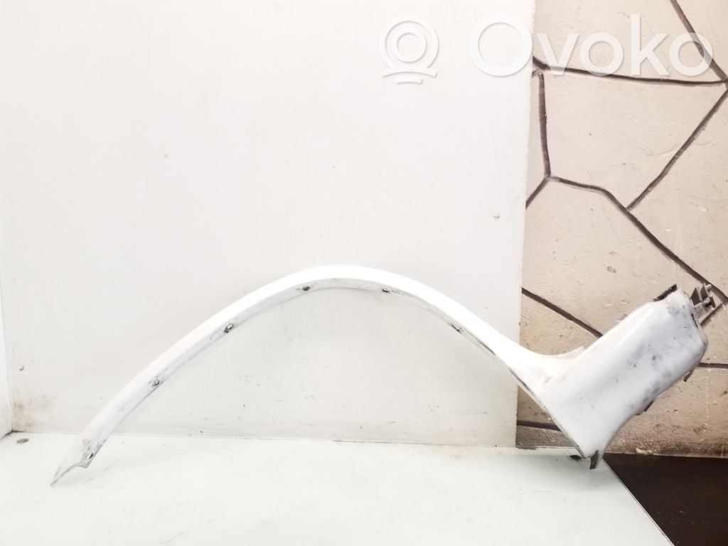 BMW X5 E53 Fender trim (molding) 