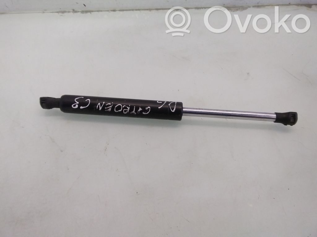 Citroen C3 Amortiguador/puntal del maletero/compartimento de carga 