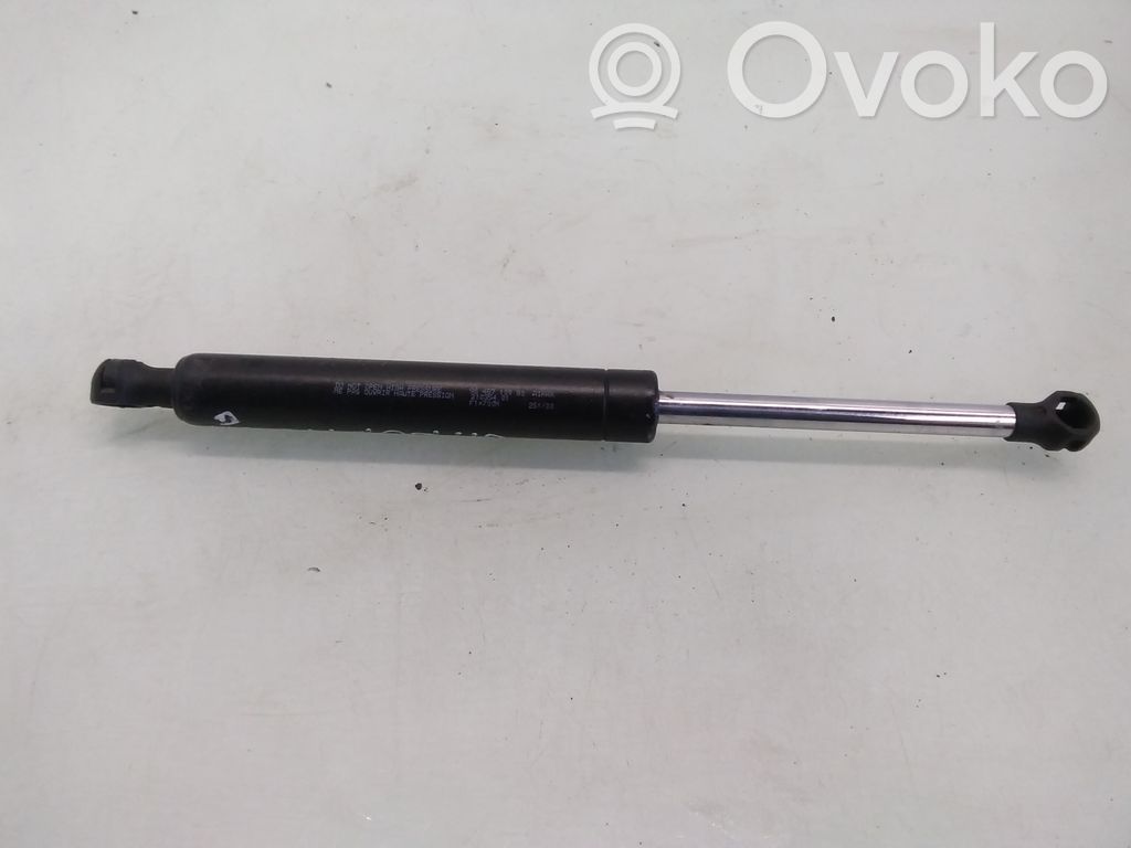 Citroen C3 Amortiguador/puntal del maletero/compartimento de carga 