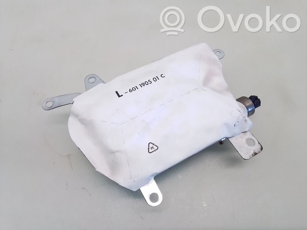 Front door airbag   601190501