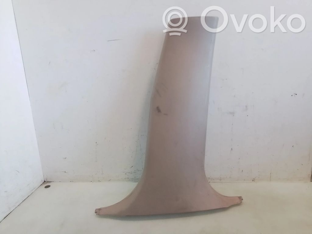 (B) pillar trim (bottom)