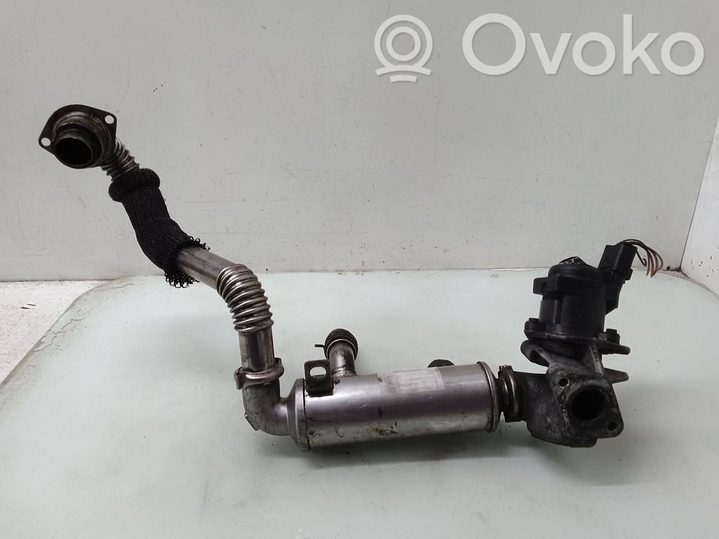 Citroen C5 Válvula EGR 