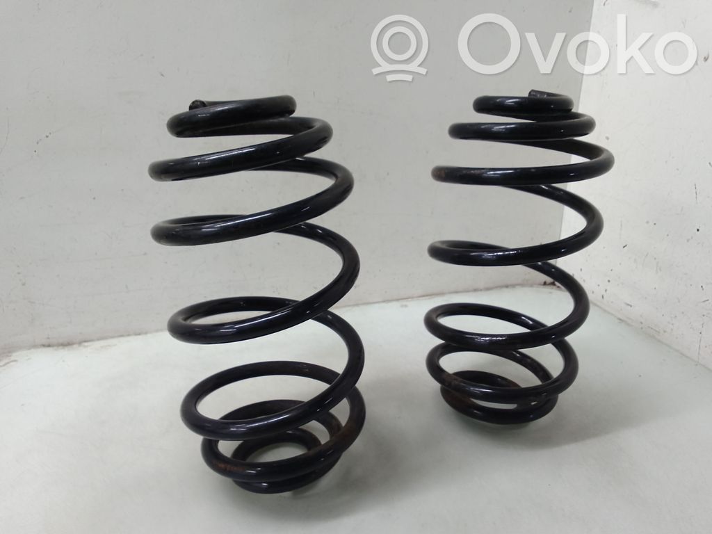 Rear coil spring
