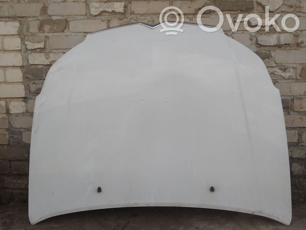 Motorhaube