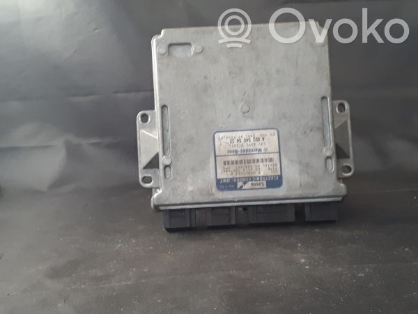 Mercedes-Benz E W210 Engine control unit/module 