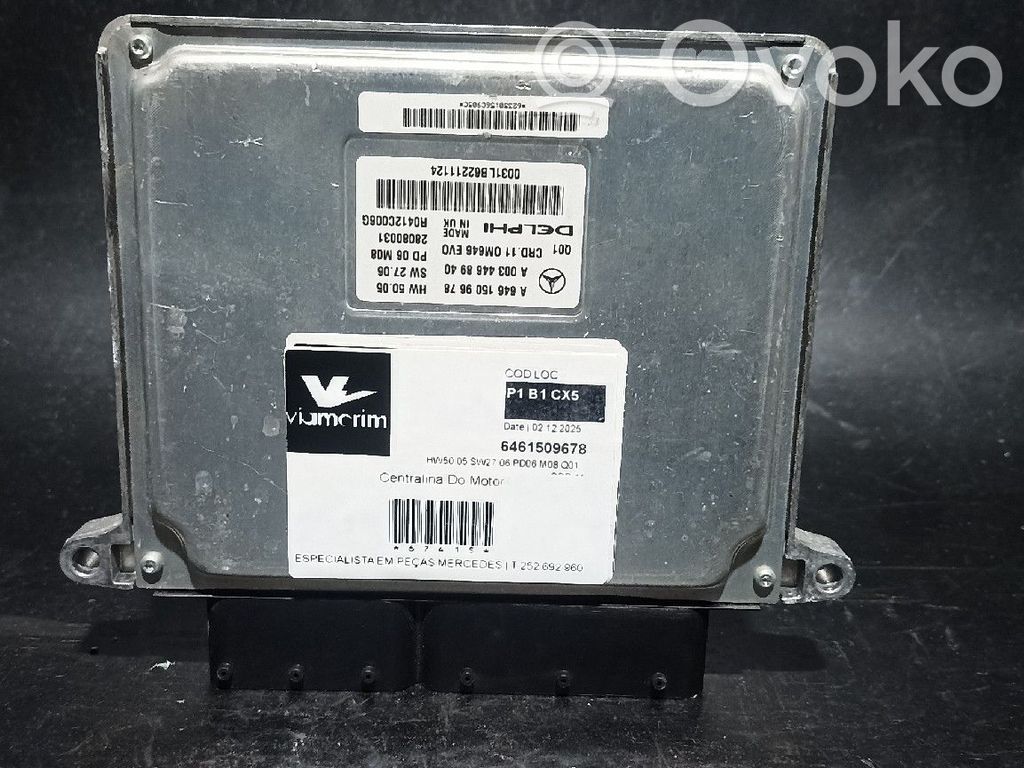 Engine control unit/module   6461509678,6461501134,6461502178,6461503172,6461504178,6461504972,6461505278,6461505677,6461508378,6469001300,Q01CDR11
