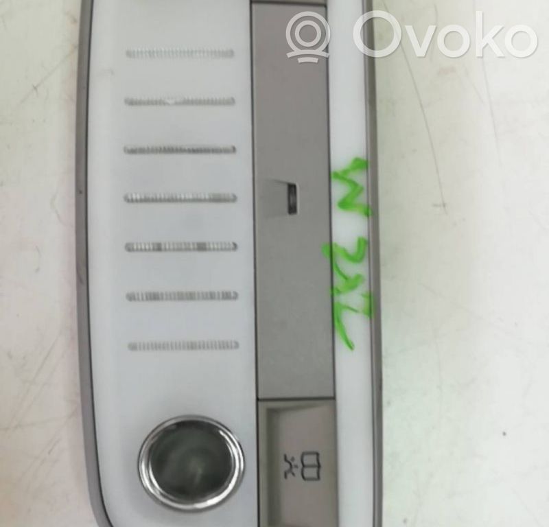 Headlining lighting console trim   2128205001,CINZA,TRASEIRO
