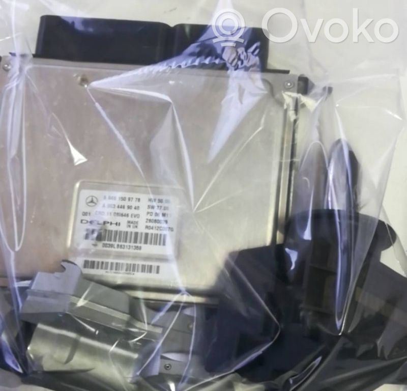 Immobilizer control unit/module   6461509778,A6461509778,EZS2115452308