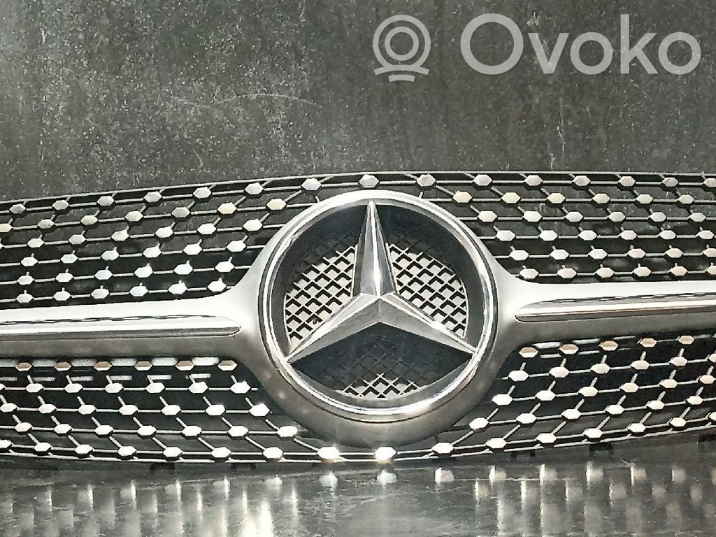 Atrapa chłodnicy / Grill   2388881300N