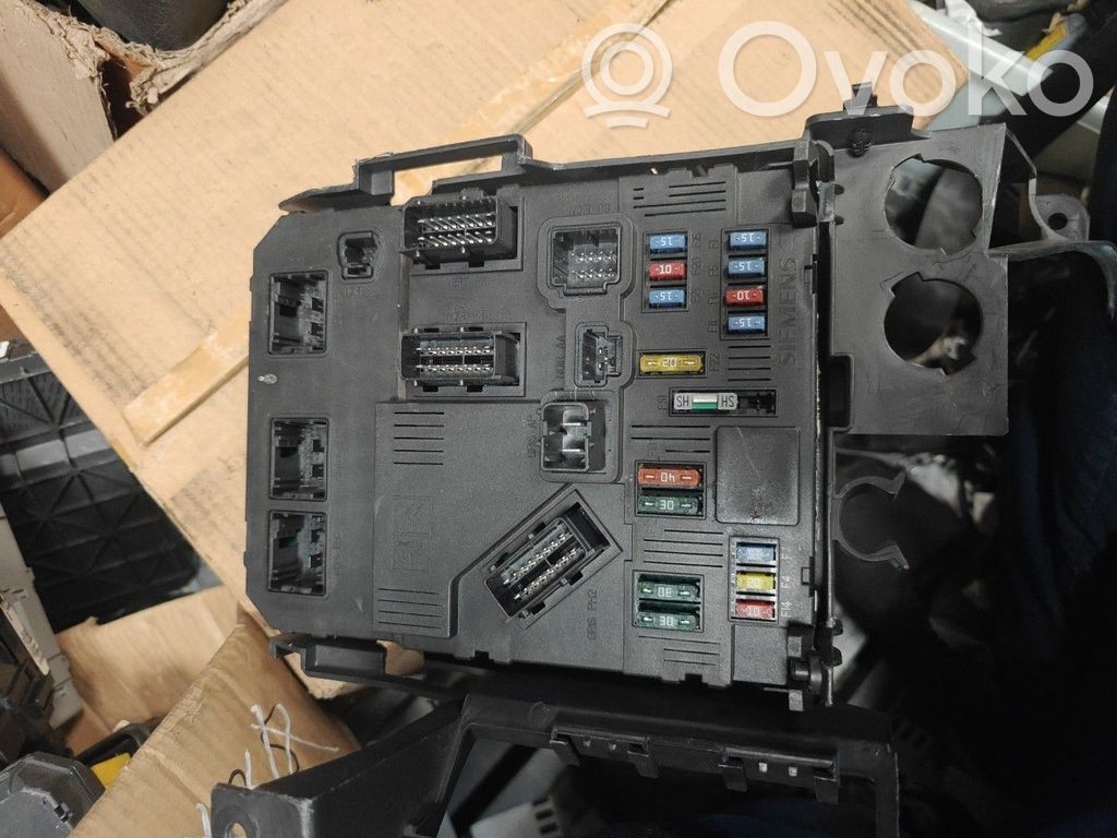 SAM control unit   9653667580E0100,E0100