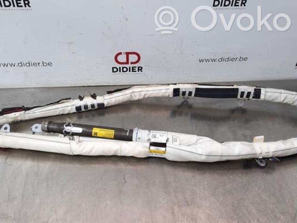 Ford S-MAX Airbag del techo 